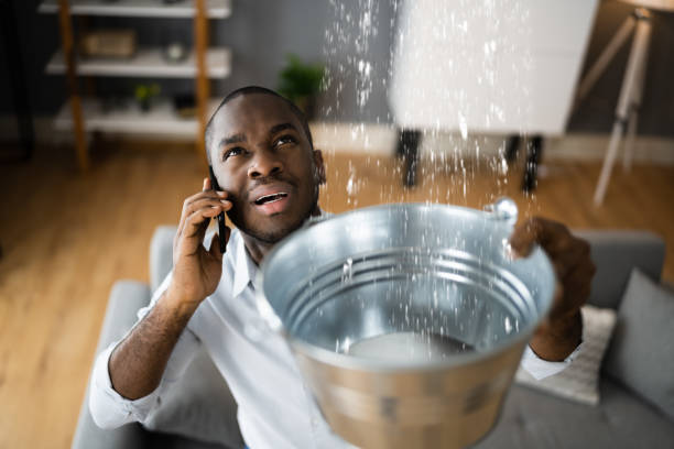 Best Water damage cleanup near me  in Alma, GA