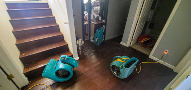Best Water damage restoration insurance claims  in Alma, GA