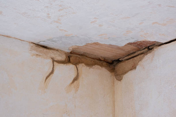Best Emergency water damage restoration  in Alma, GA