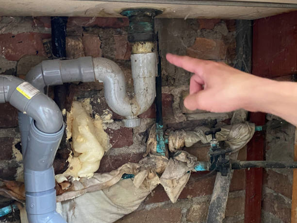 Best Fire Damage Restoration  in Alma, GA