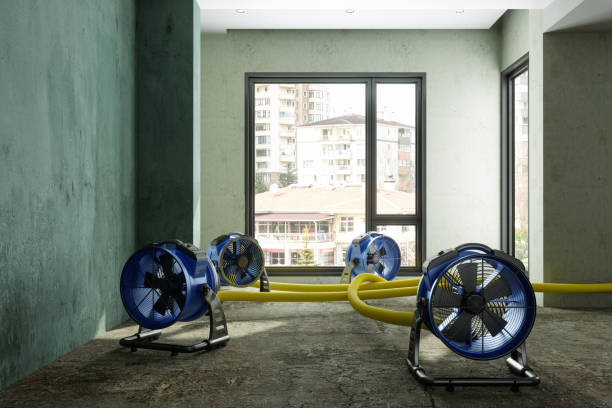 Best Flood restoration services  in Alma, GA
